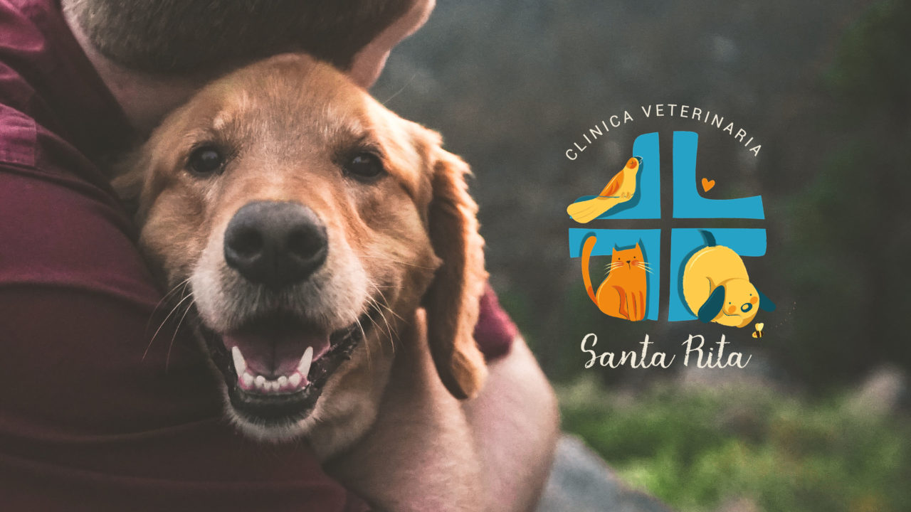 vet